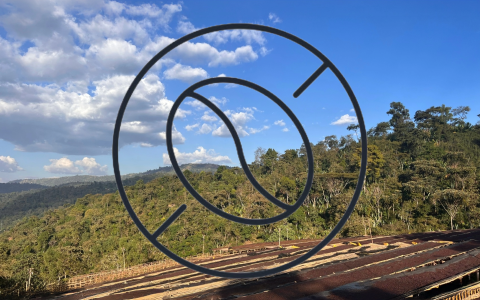 Koffeinfri Etiopien � den gode kop uden kompromiser