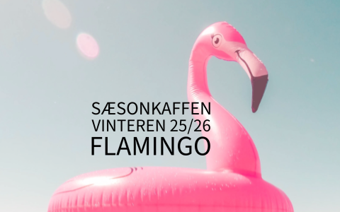 Mexico Flamingo, vinterens SSONKAFFE