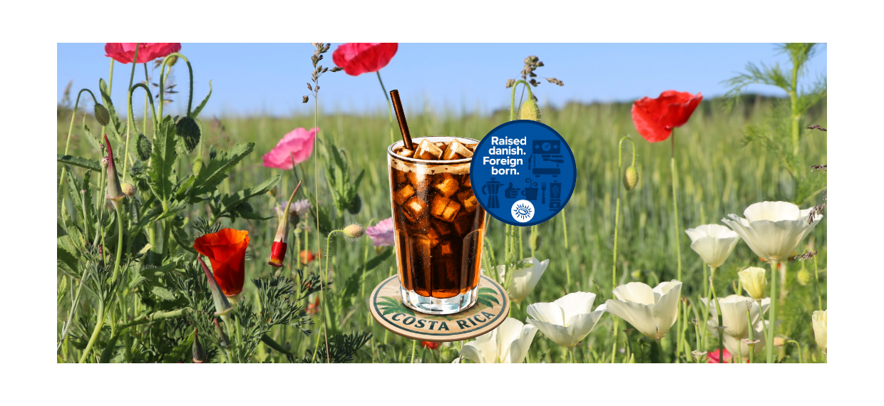 Cold Brew kaffe & guide (2026 versionen)