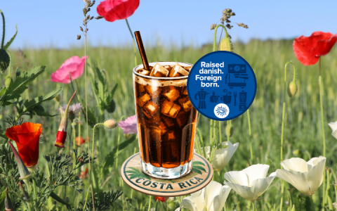 Cold Brew kaffe & guide (2026 versionen)