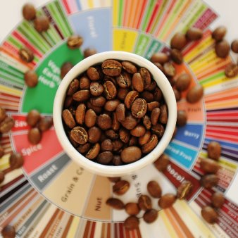 Risteriet Risteprofiler