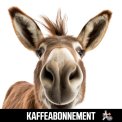 Kaffeabonnement - Happy Donkey (mellemm�rk Colombia)