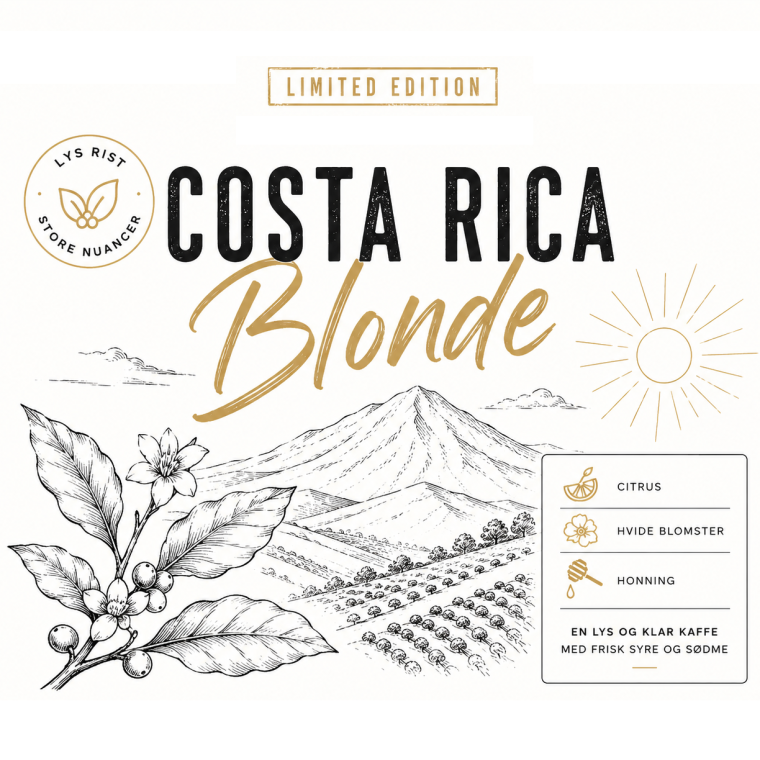 500 gram Costa Rica Blonde (lys rist)