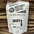 Daisy (mellemm�rk Guatemala)