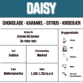 Daisy (R kaffebnner)