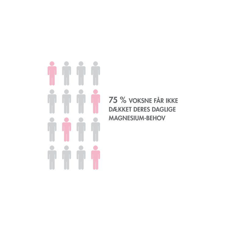 BWT AQUAlizer magnesium filtre (3-pak)