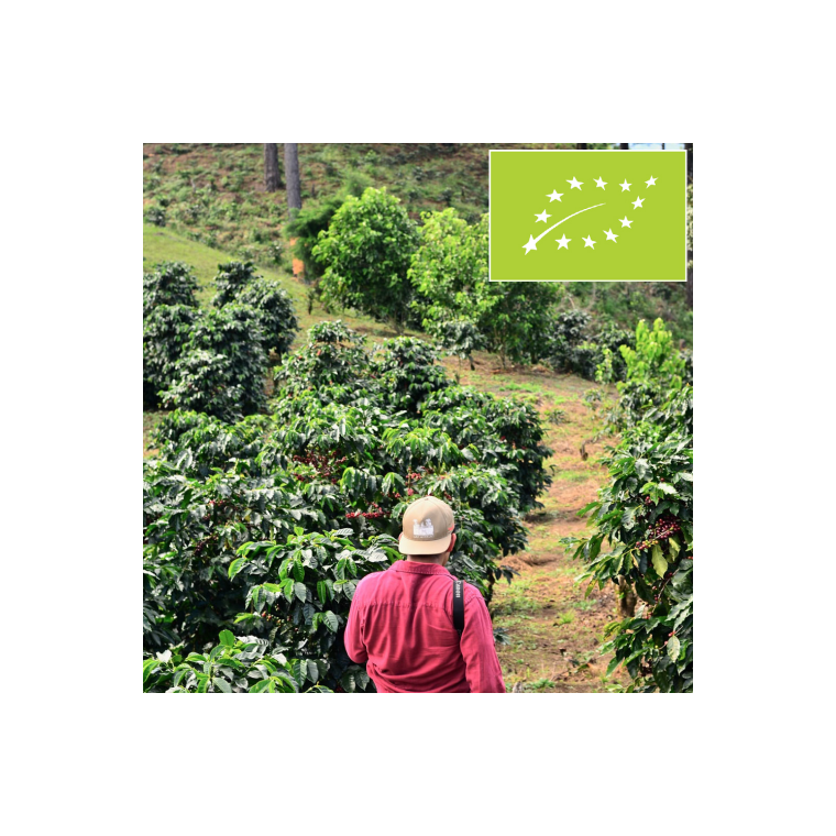 Kaffeabonnement - Honduras Bendicion de COMSA ()