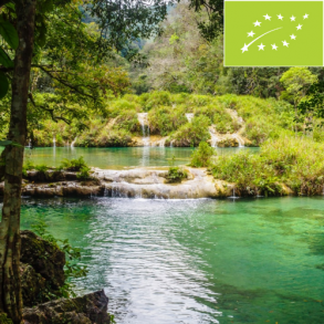 Kaffeabonnement - Honduras Mountain Decaf (kologisk Mountain Water Process) 