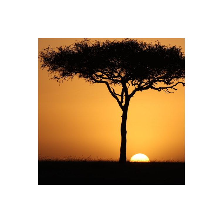Kenya AB (West 15/17)