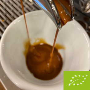 koskabet X | Miscela Potente KO