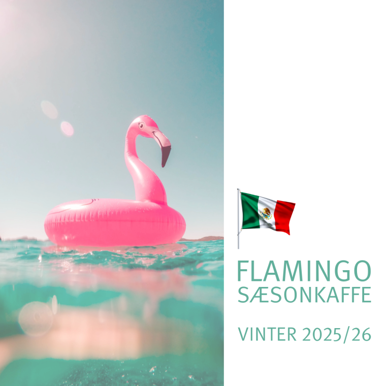Flamingo [kologisk SSONKAFFE]