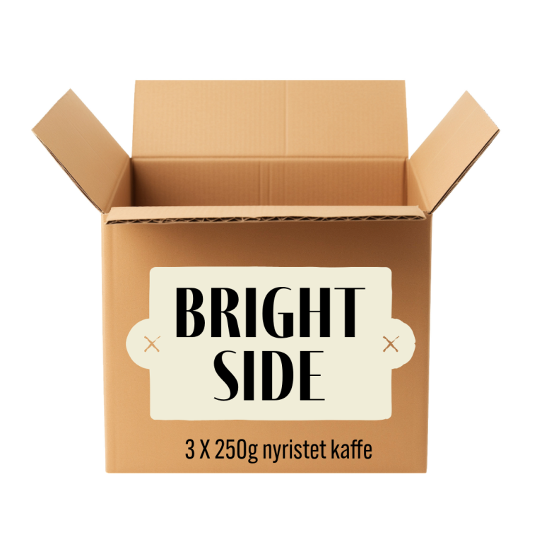BRIGHT SIDE (smagspakke med 3x 250 gram lysristede kaffer)