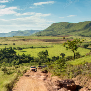 1.000 gram CYC Brasilien Cerrado