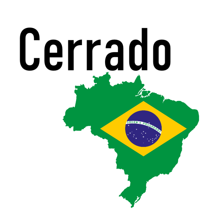 Brasilien Cerrado (R kaffe)