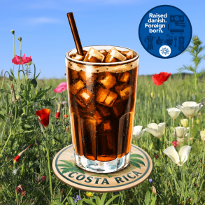 600 gram Costa Rica Cold Brew
