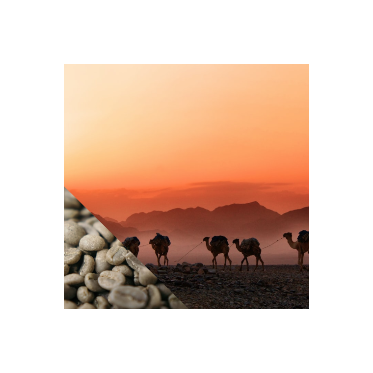 Etiopien Sidamo KO (R kaffe)