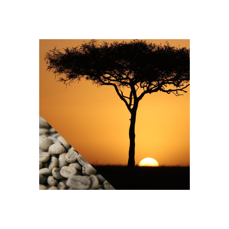 Kenya AB (West 15/17) (R kaffe)