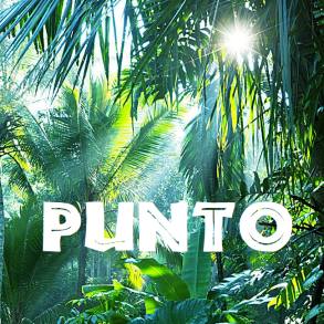 Punto (mellemmrk Honduras) KO