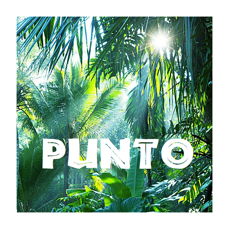 koskabet X | Punto (mellemmrk Honduras) KO