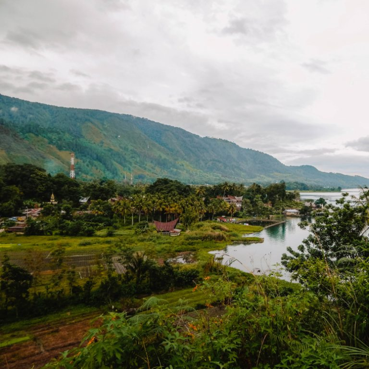 1.000 gram CYC Indonesien Mandheling (kologisk)