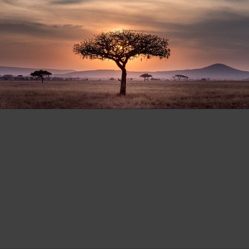 Afrika